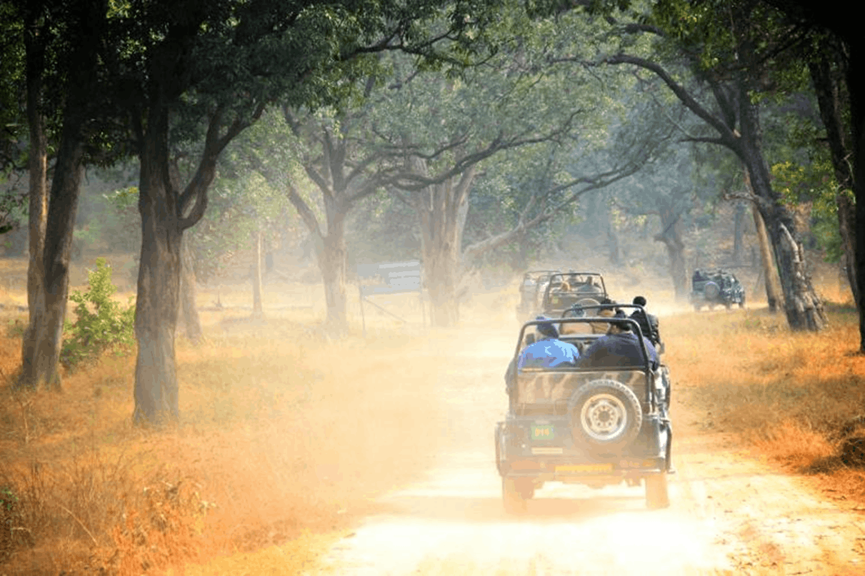 IN BANDHAVGARH
