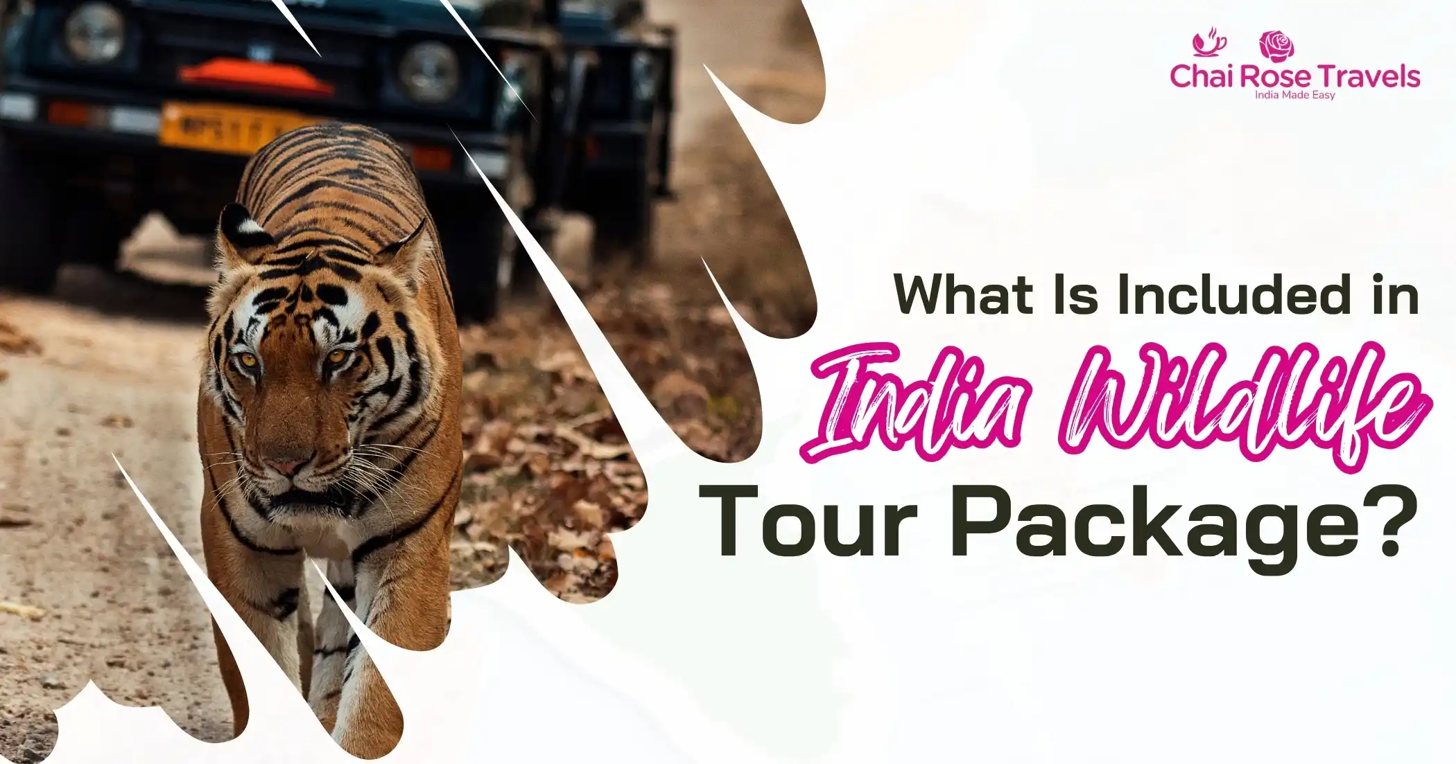 What Is Included in India Wildlife Tour Package