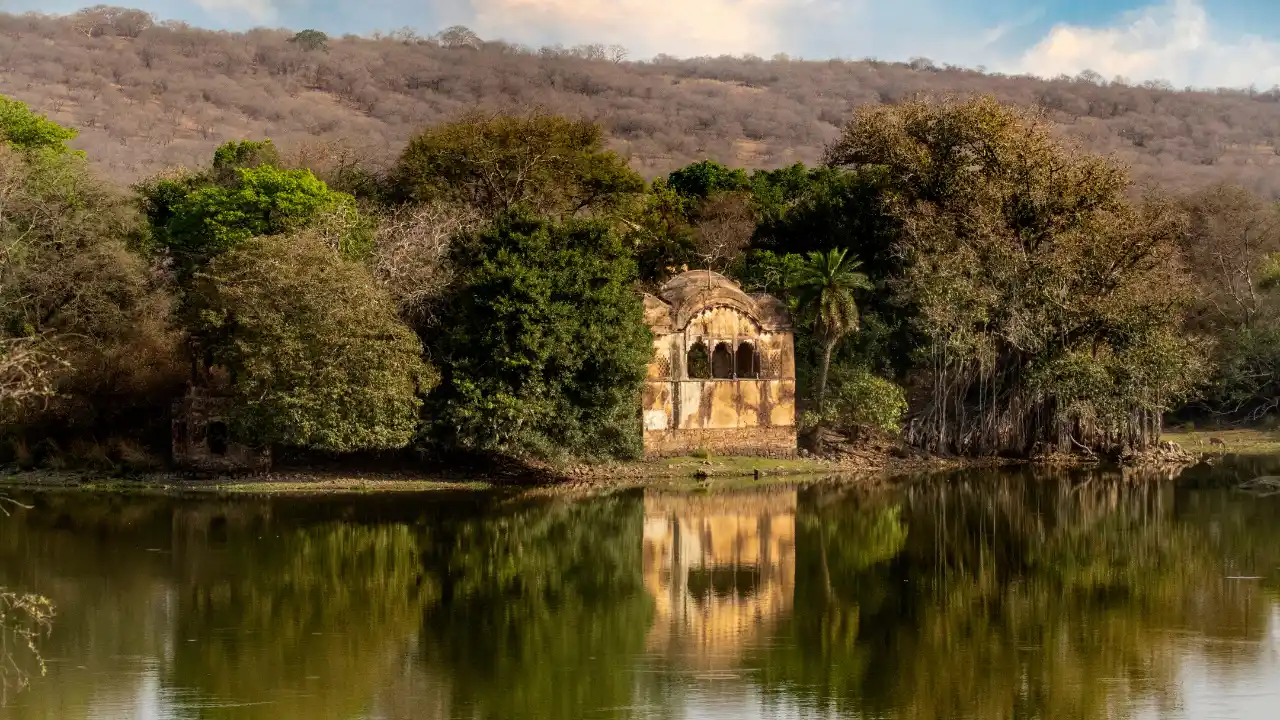 Adding Wildlife The Case for Ranthambore