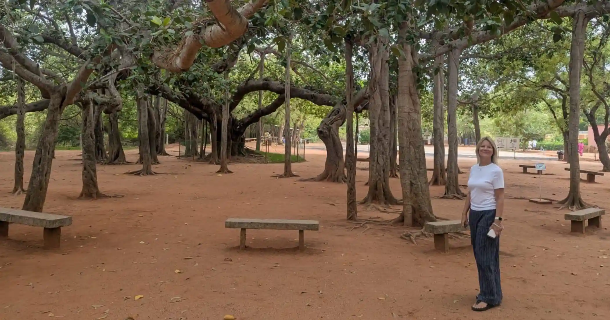 A Visit to Auroville
